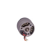 DJI Spark - Motor